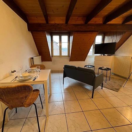 Charmant Appartement En Duplex A Поррантрюї Екстер'єр фото