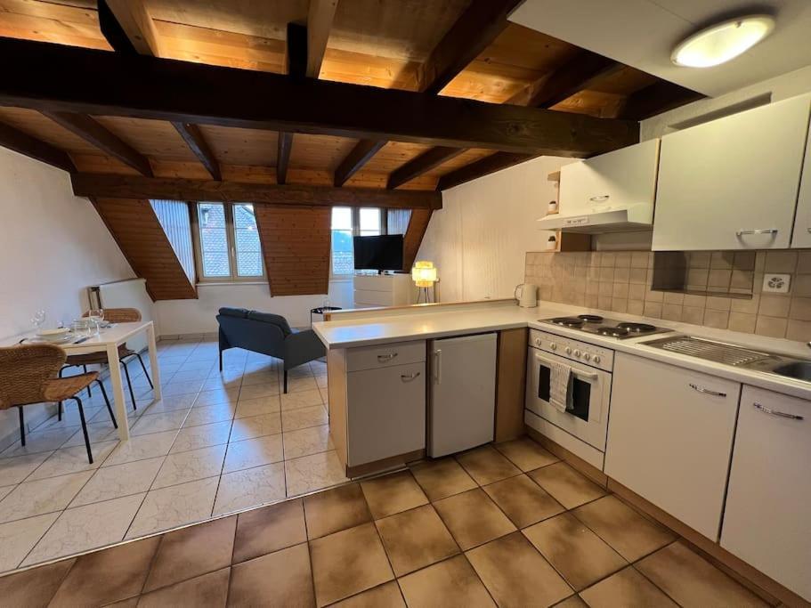 Charmant Appartement En Duplex A Поррантрюї Екстер'єр фото