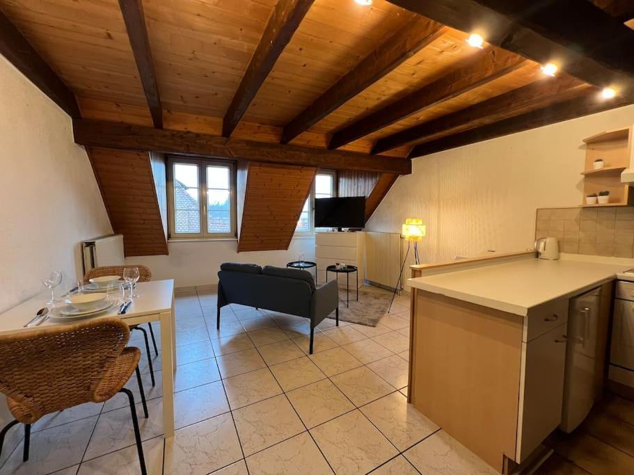 Charmant Appartement En Duplex A Поррантрюї Екстер'єр фото